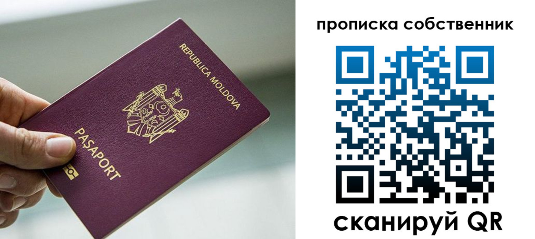прописка паспорт в Шлиссельбурге